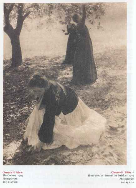 Clarence H. White The Orchard. 1905
