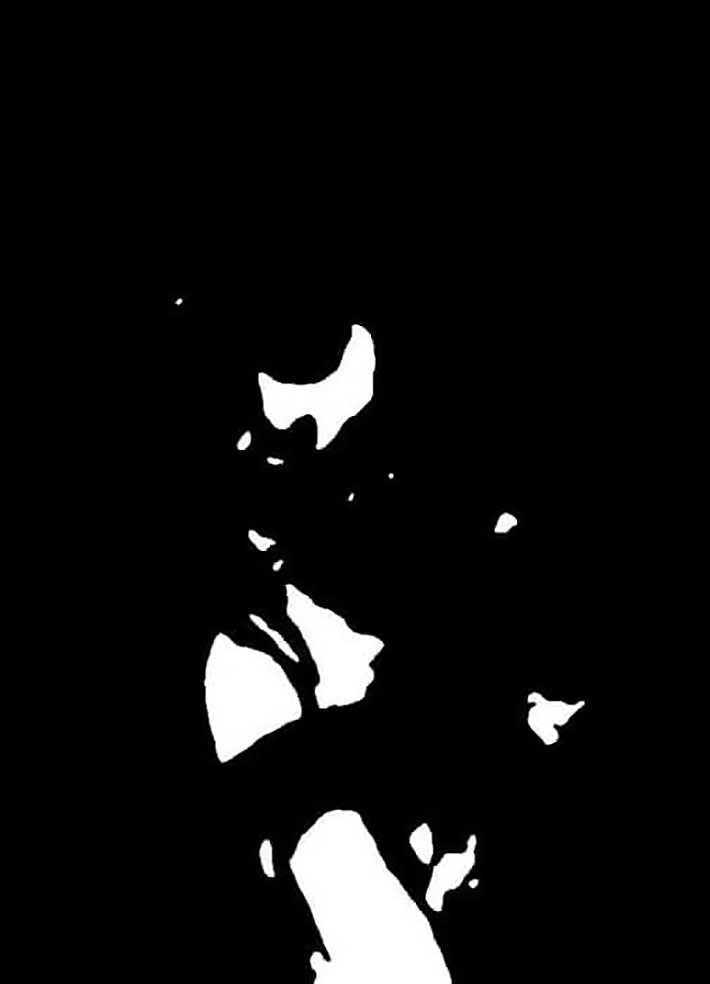 Джованні Болдіні, Дівчина з чорною кішкою, 1885 - 2 нотани