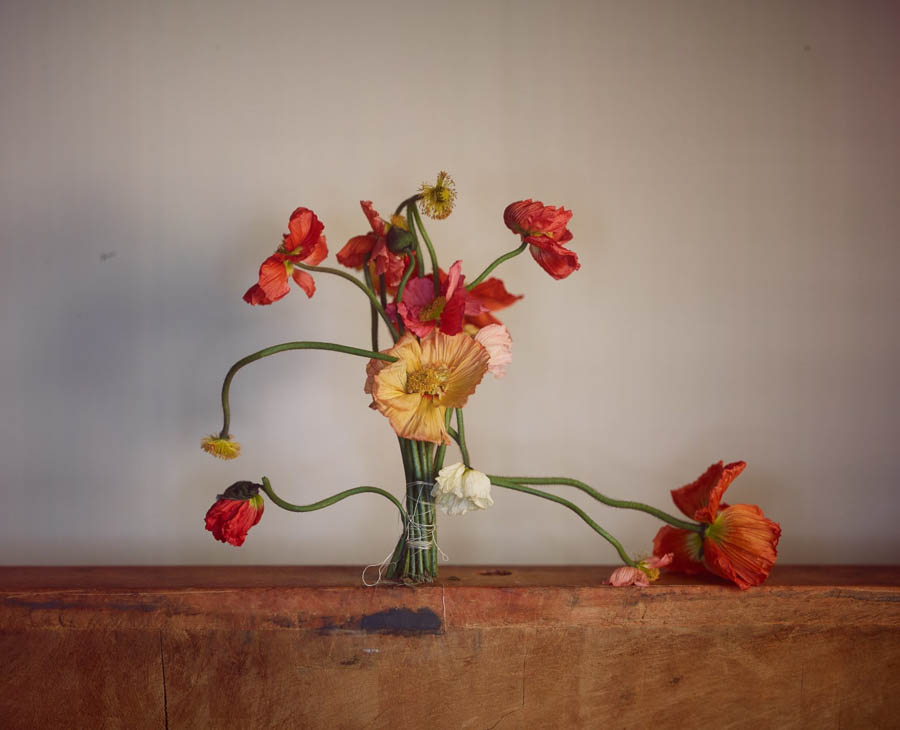 Аналогічні кольорові схеми. Richard Learoyd: Still-life
